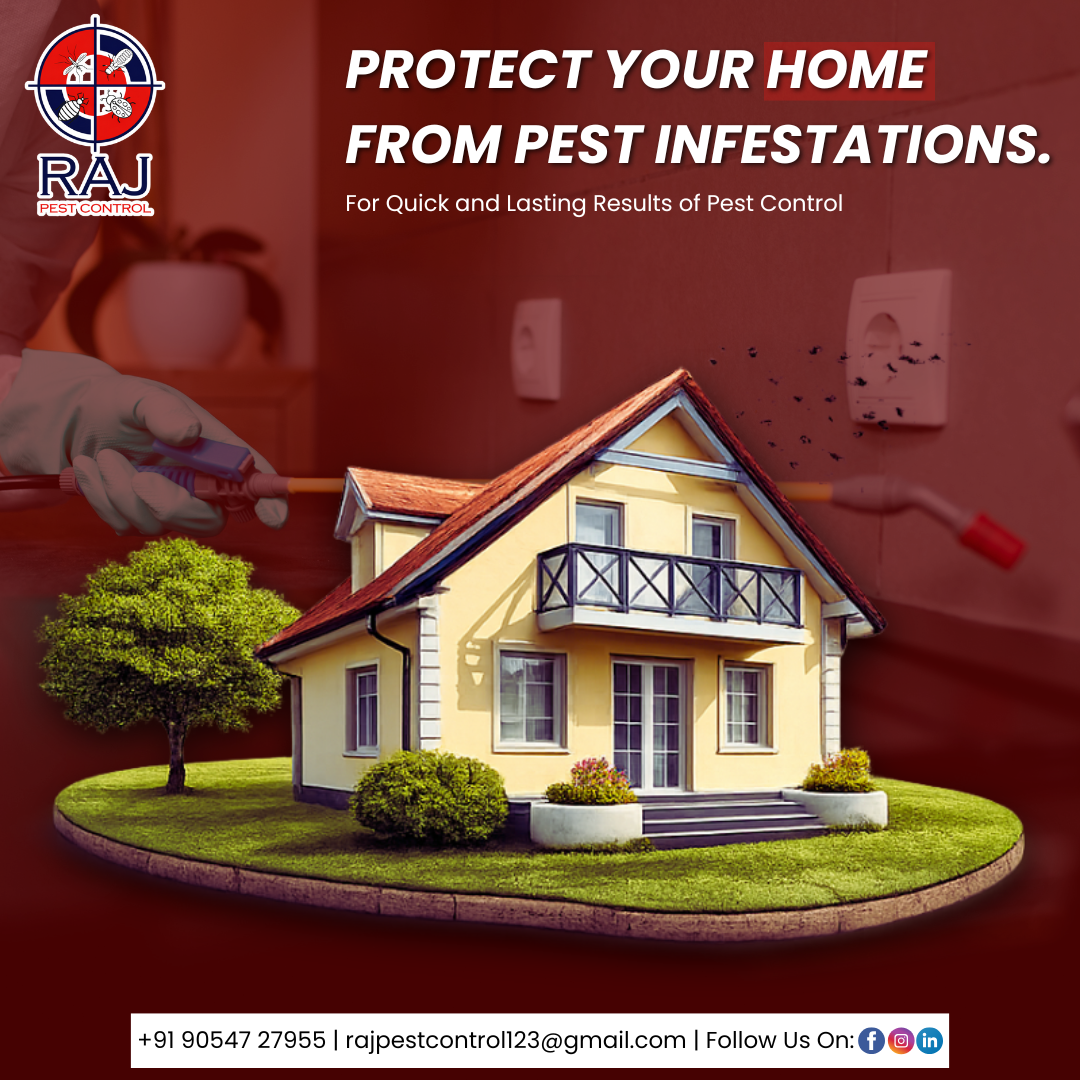 6 Raj Pest Control